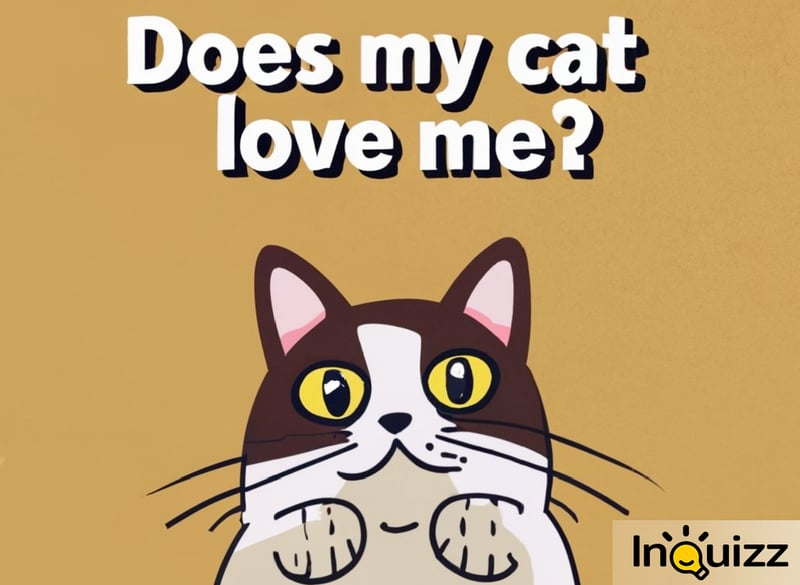 Cat Owners Beware Our Ultimate 