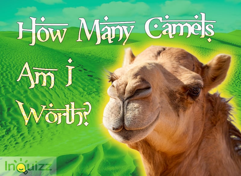 How Many Camels Am I Worth Out of 100?